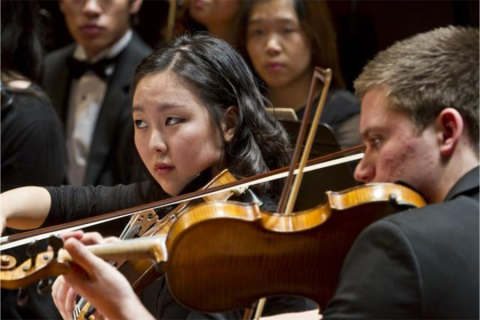 Close up of string instrument players