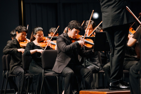 String section of symphony orchestra